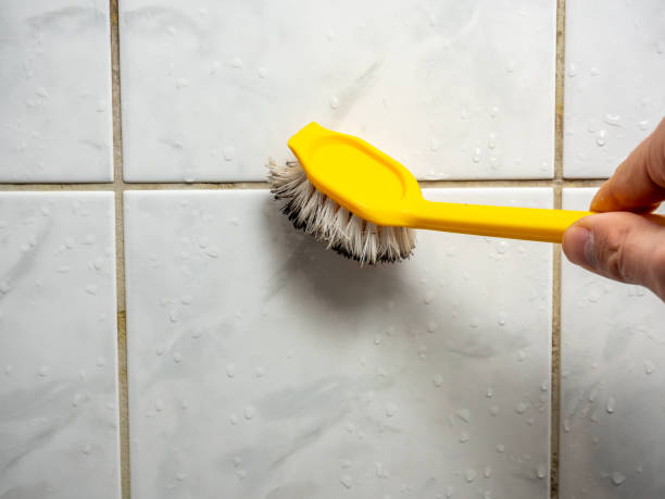 Best Local Mold Removal Service  in Frackville, PA
