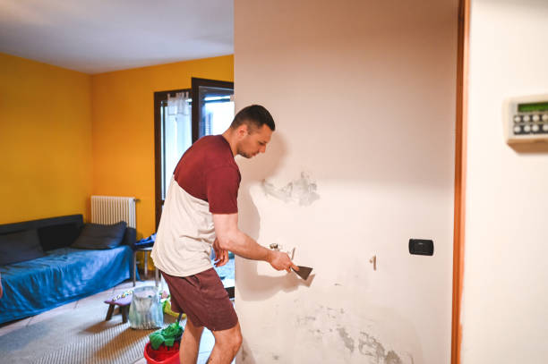 Best Certified Mold Removal  in Frackville, PA